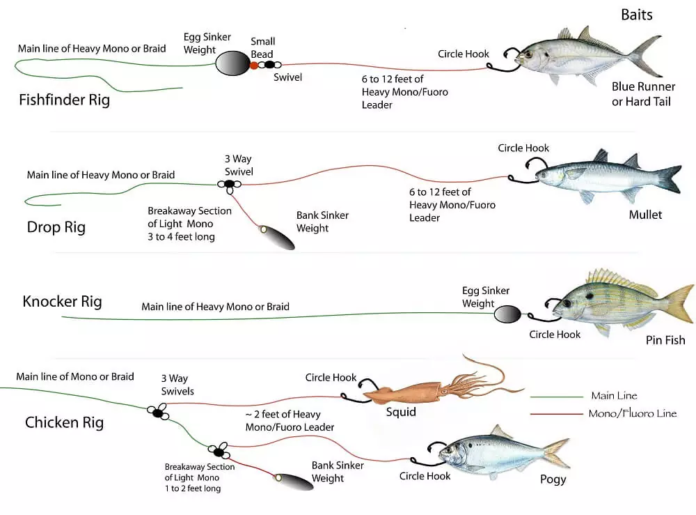 Beginner’s Guide to Setting Up a Fishing Line for Saltwater