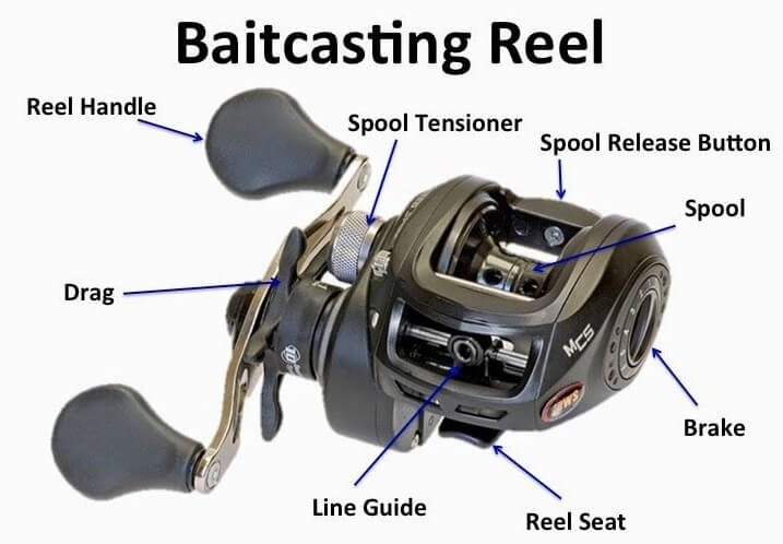 Baitcasting Reels for beginners 