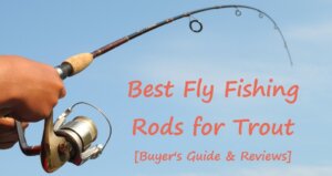 Best Fly Fishing Rods for Trout