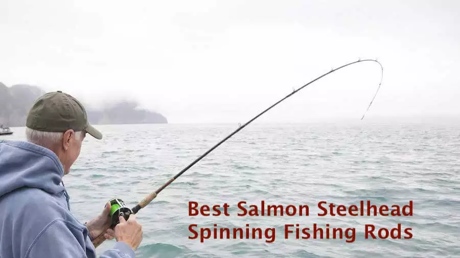 🔥 Top 7 Best Salmon Steelhead Spinning Fishing Rods in 2021