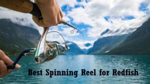 Best Spinning Reel for Redfish