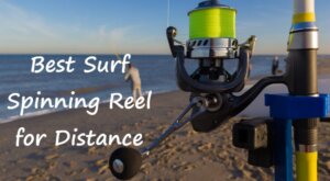 Best Surf Spinning Reel for Distance
