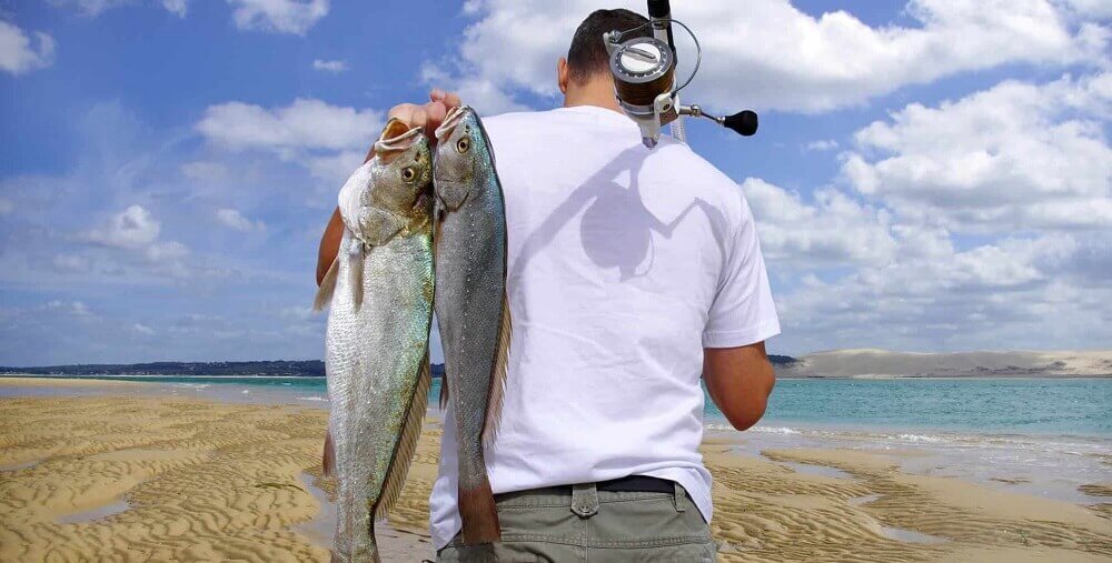 best surf fishing reels