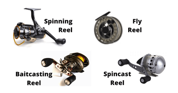 Types of Fishing Reels