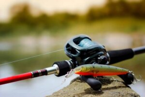 Best Baitcasting Reel for Redfish