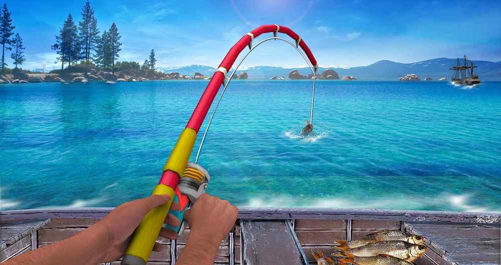 How to Get a Fishing License at Walmart Guide]