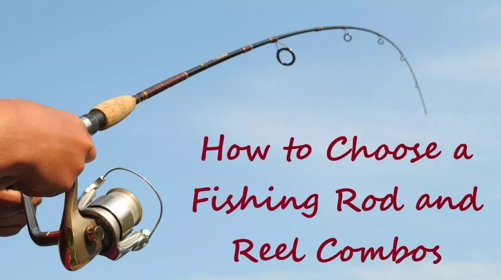 How to Choose a Fishing Rod and Reel