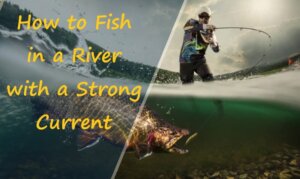 How to Fish in a River with a Strong Current