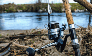 Fishing reel