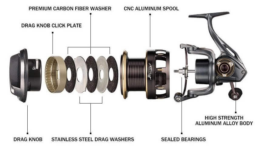 Find the Best Baitcasting Reel for Redfish [Updated - 2024]