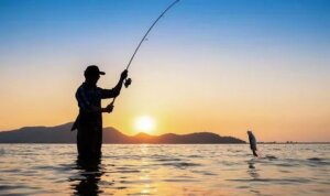 States Offering Walmart Fishing License