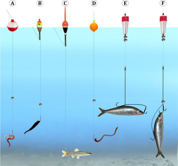 How to Set Up a Fishing Pole with a Bobber [Detailed Guide]