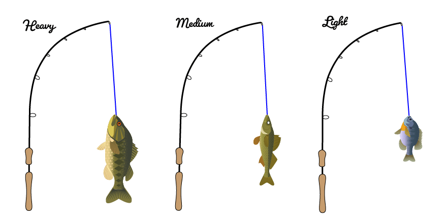  Fishing Rods