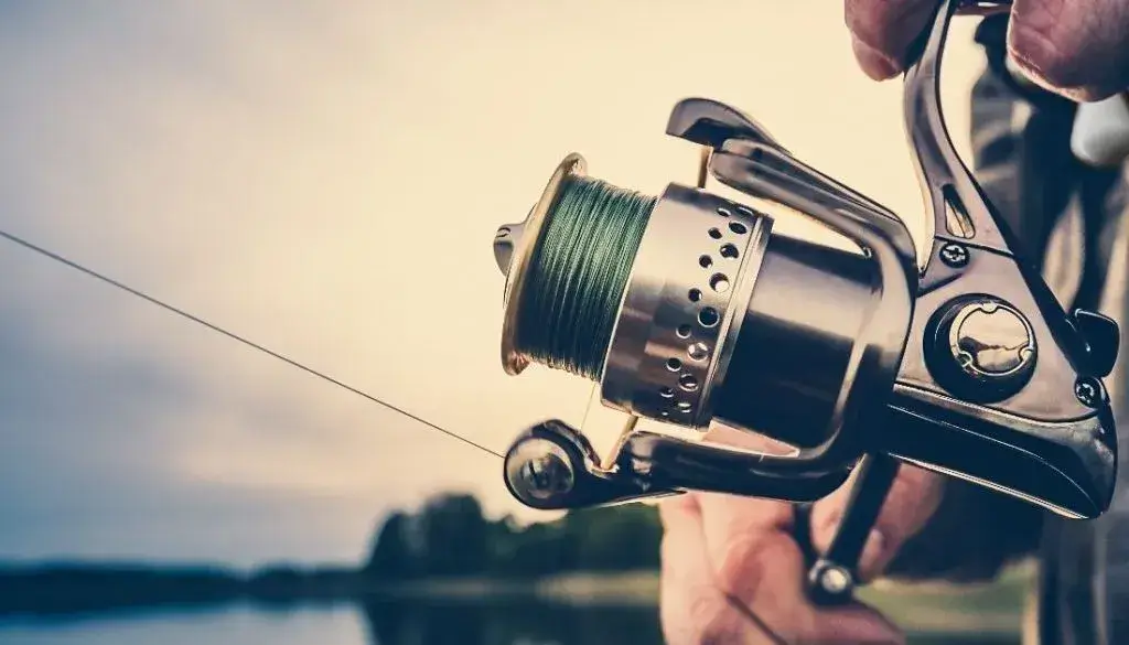Best Spinning Reels for Bass Fishing