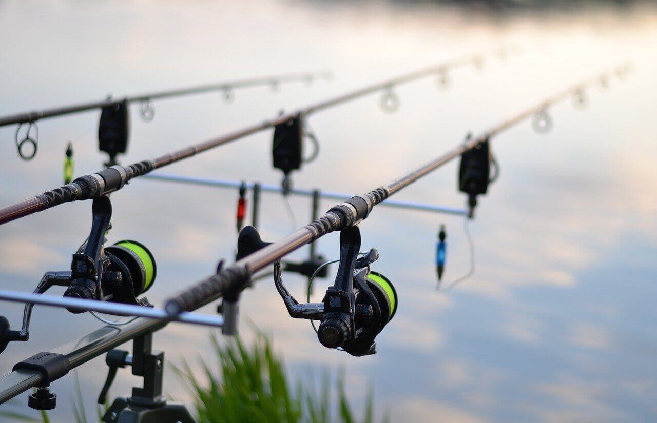 Top 8 Best Fishing Rod and Reel for Crappie [Aug 2024]