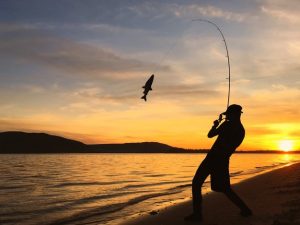 Best Time to Go Saltwater Fishing